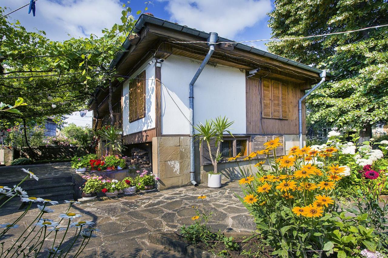 Vila Хаджикольовата Къща Medven Exteriér fotografie
